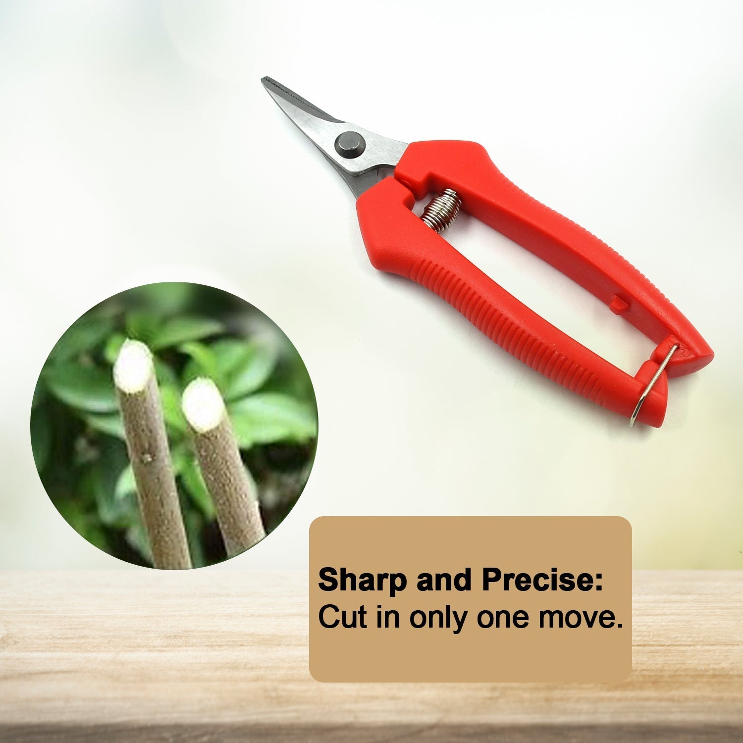 Durable stainless steel pruning scissors, ideal for cutting fruit trees and plants. Durable stainless steel pruning scissors, ideal for cutting fruit trees and plants.